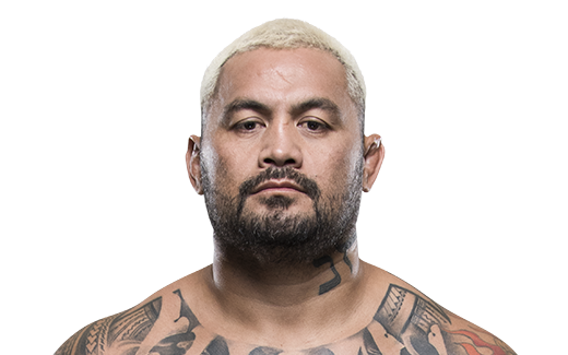 Mark Hunt's Blonde Hair: A Tribute to the "Super Samoan's" Signature Look - wide 9